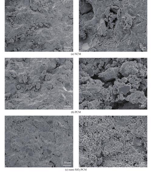 纳米sio2改性聚合物水泥基复合材料早期微观结构及性能